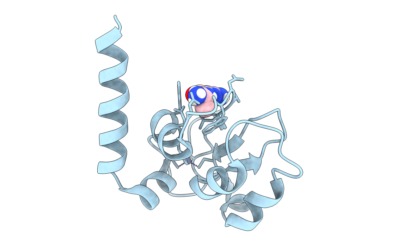 5C3K image