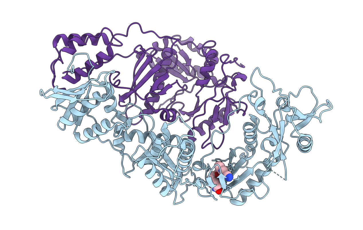 5C42 image