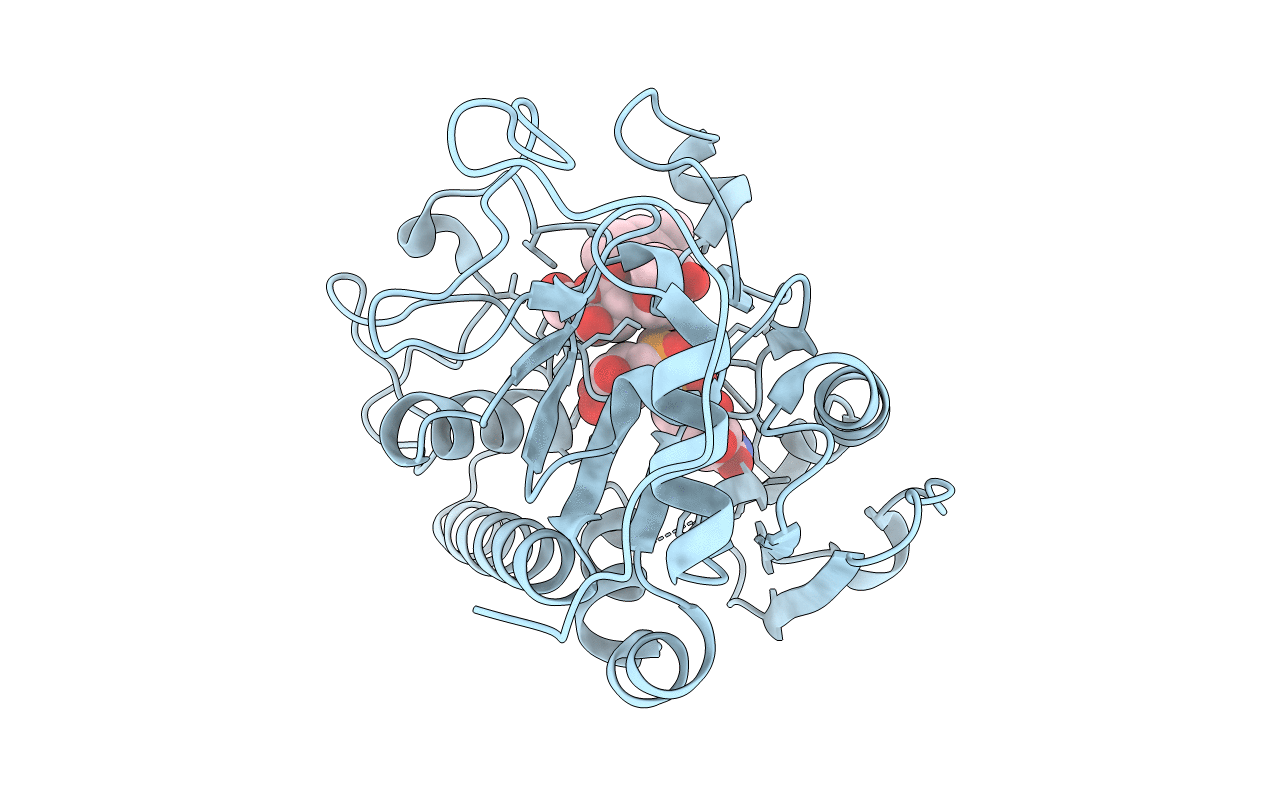 5C48 image