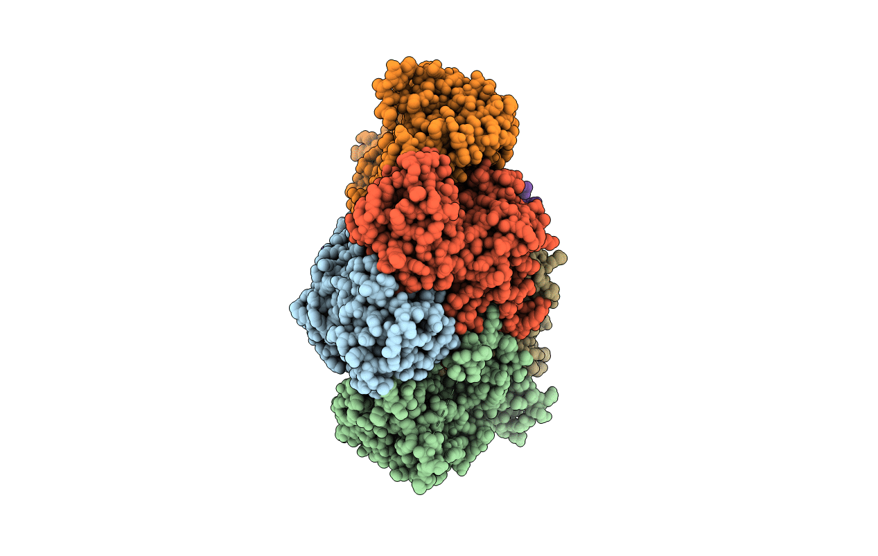 5C4I image
