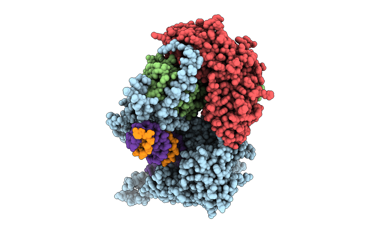 5C51 image