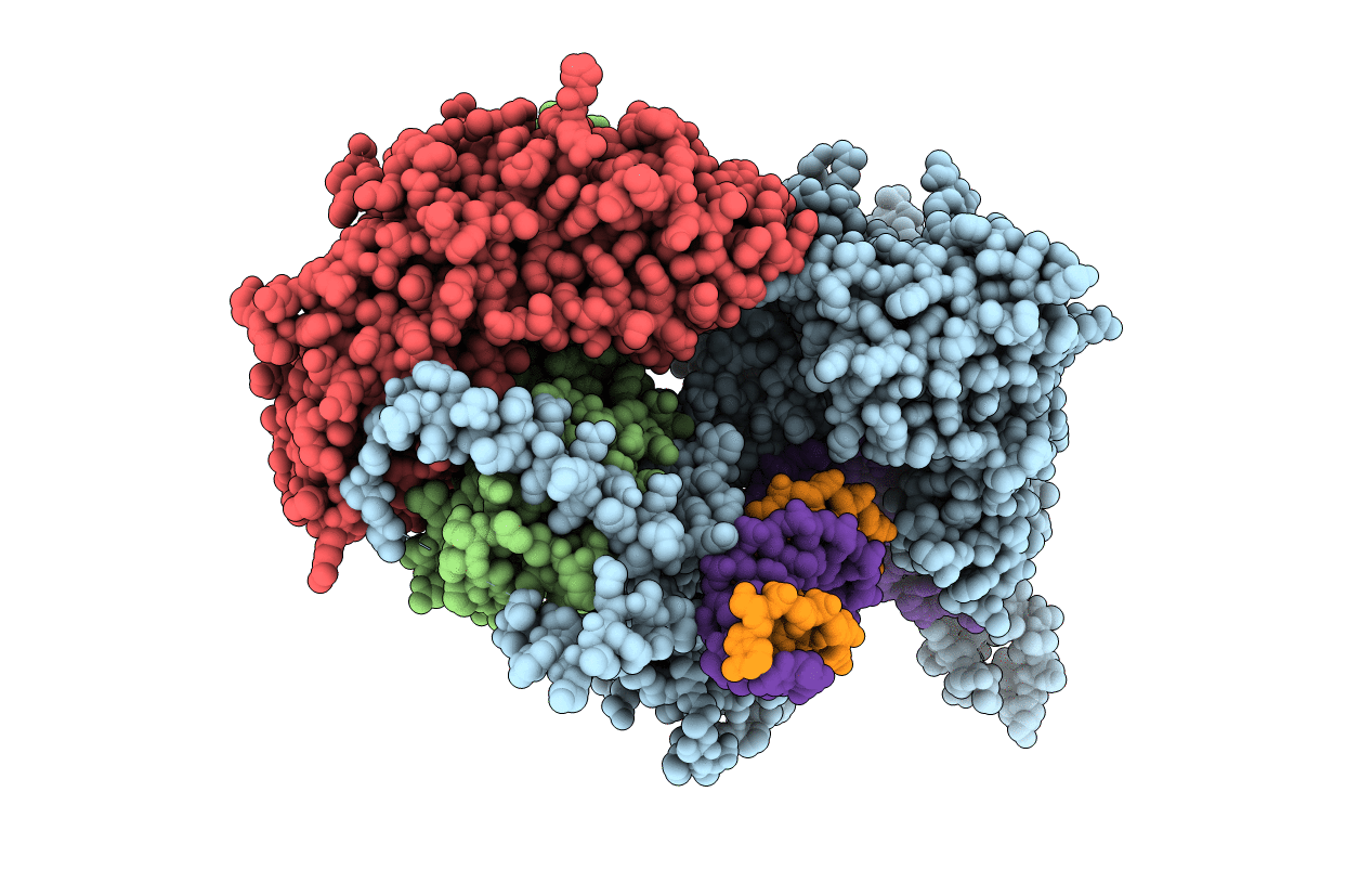 5C53 image