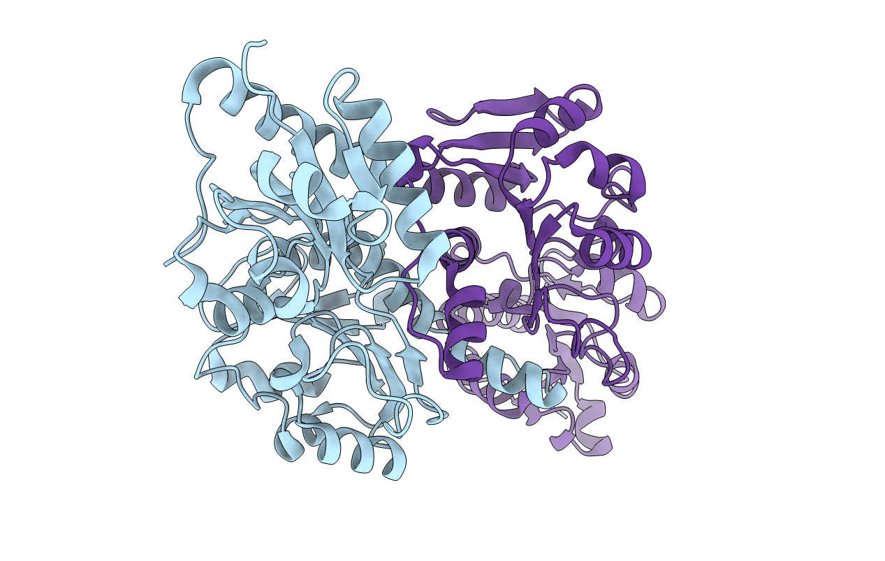 5C5I image