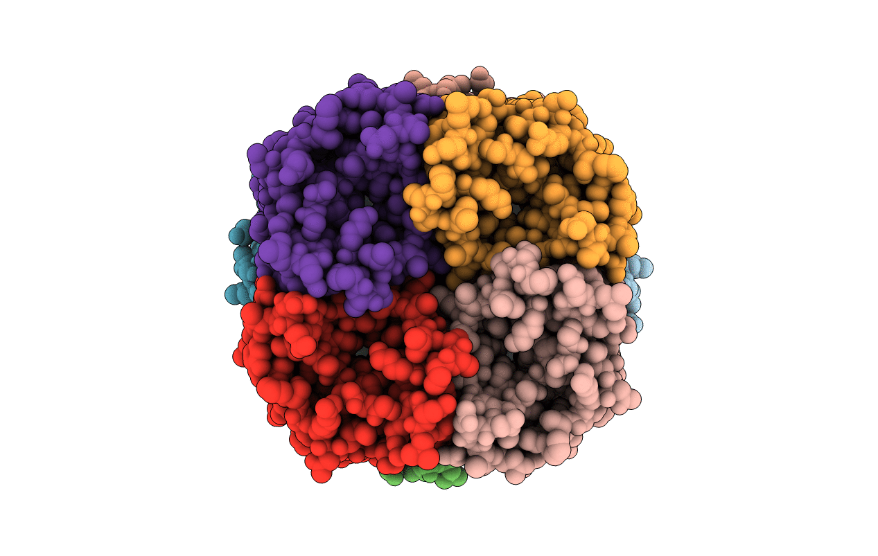 5C5X image