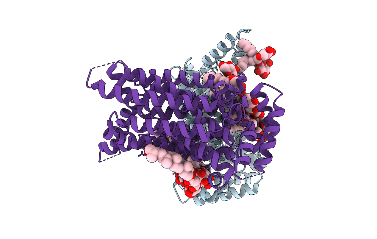5C65 image