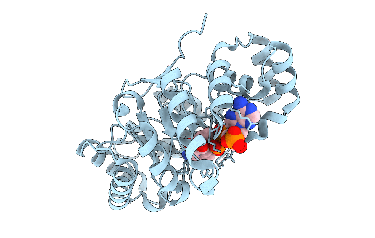 5C7H image