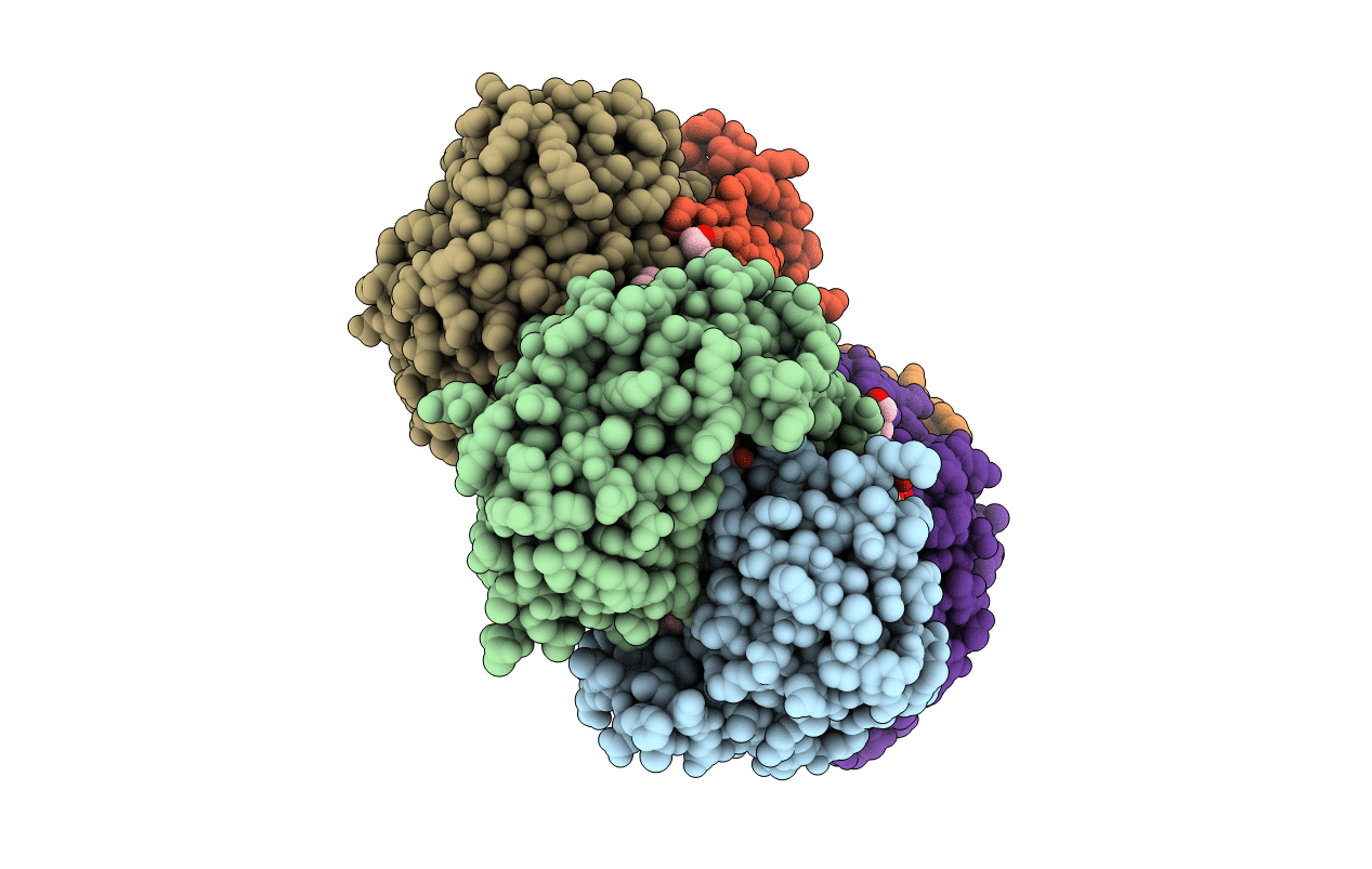 5C80 image