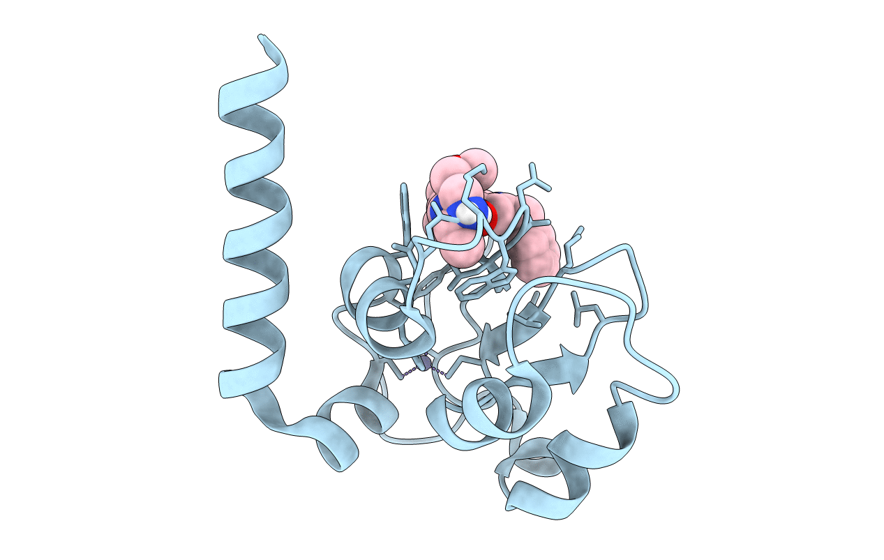5C83 image