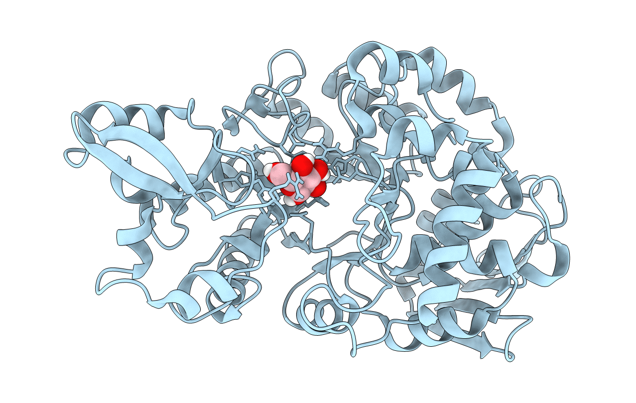 5C8B image