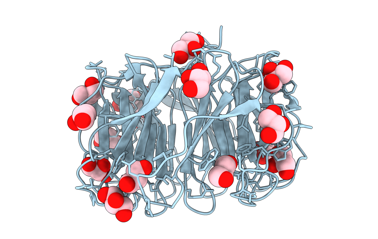5C9O image