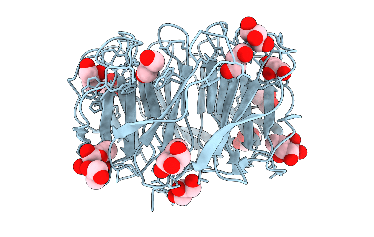 5C9P image