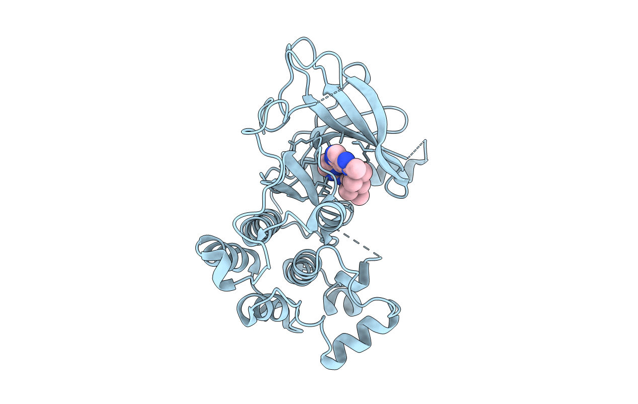 5CAO image