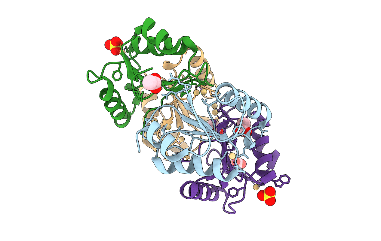 5CAX image