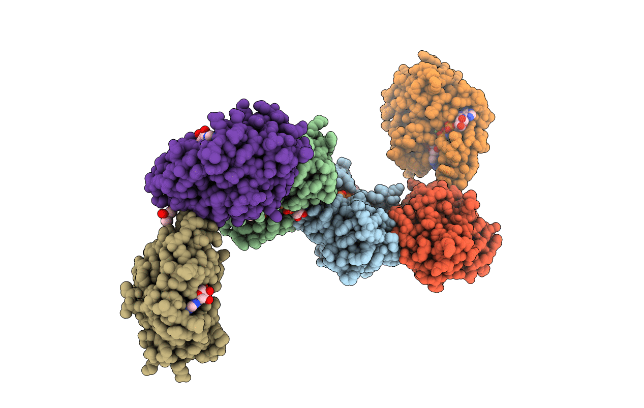 5CB6 image