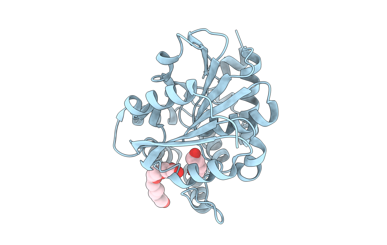 5CBK image