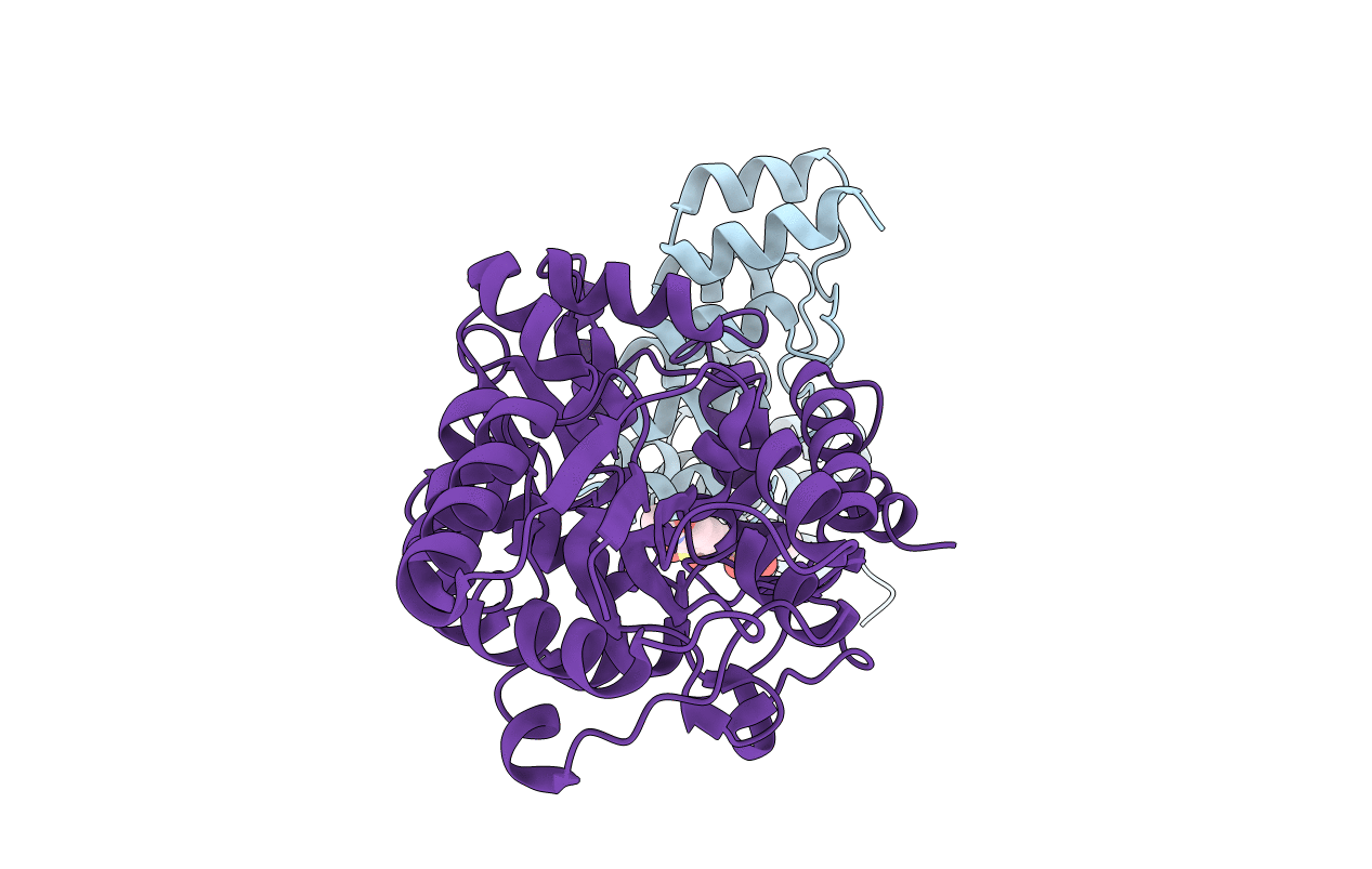 5CBN image