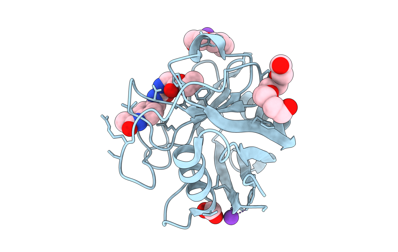 5CBW image