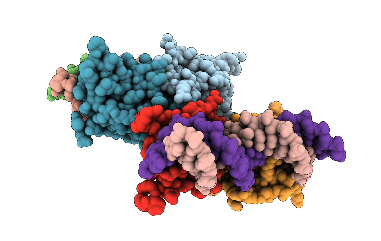5CC1 image