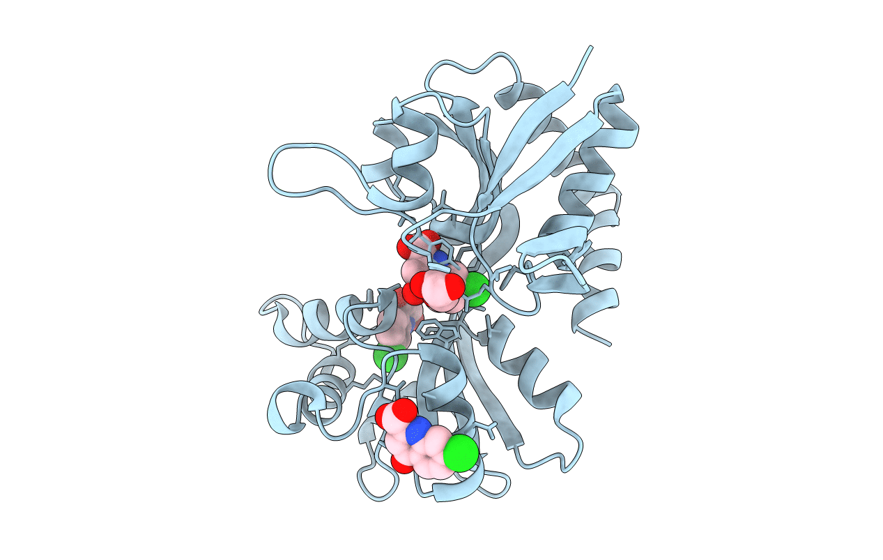 5CC2 image