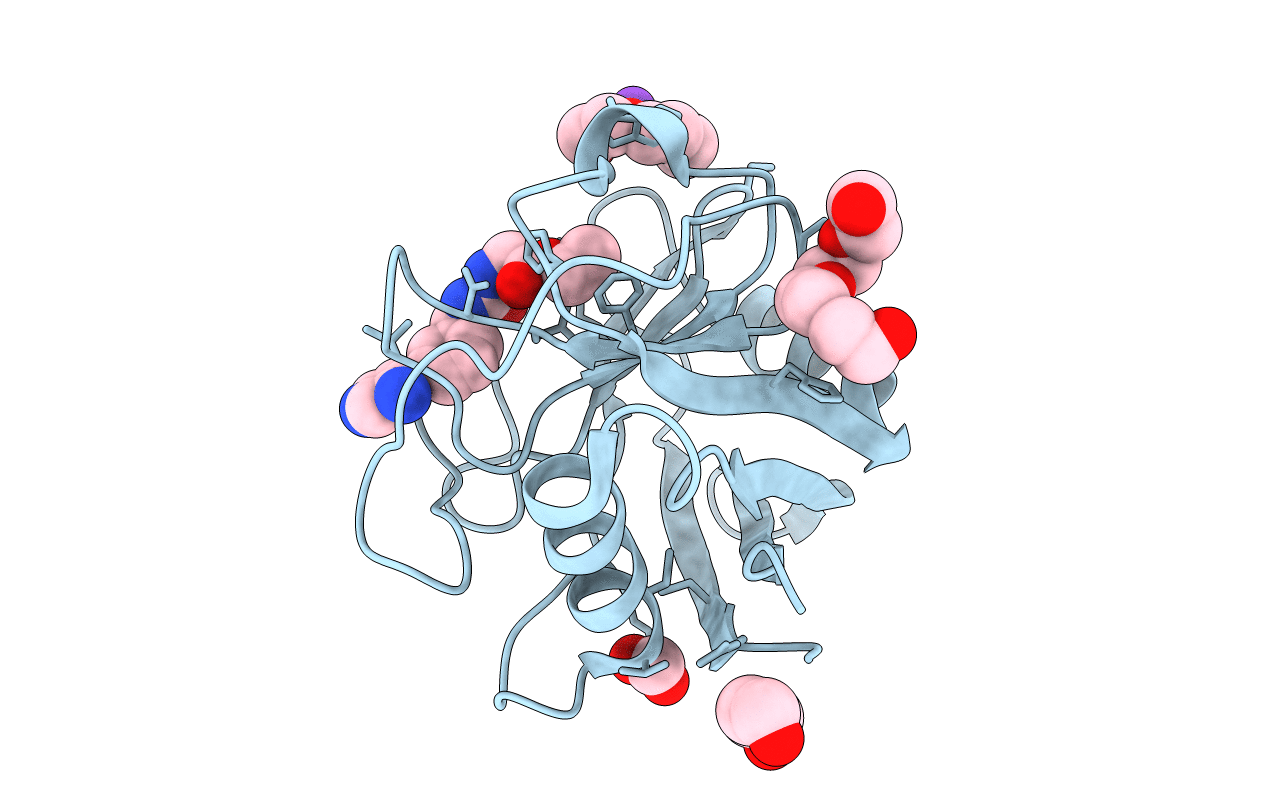 5CCN image