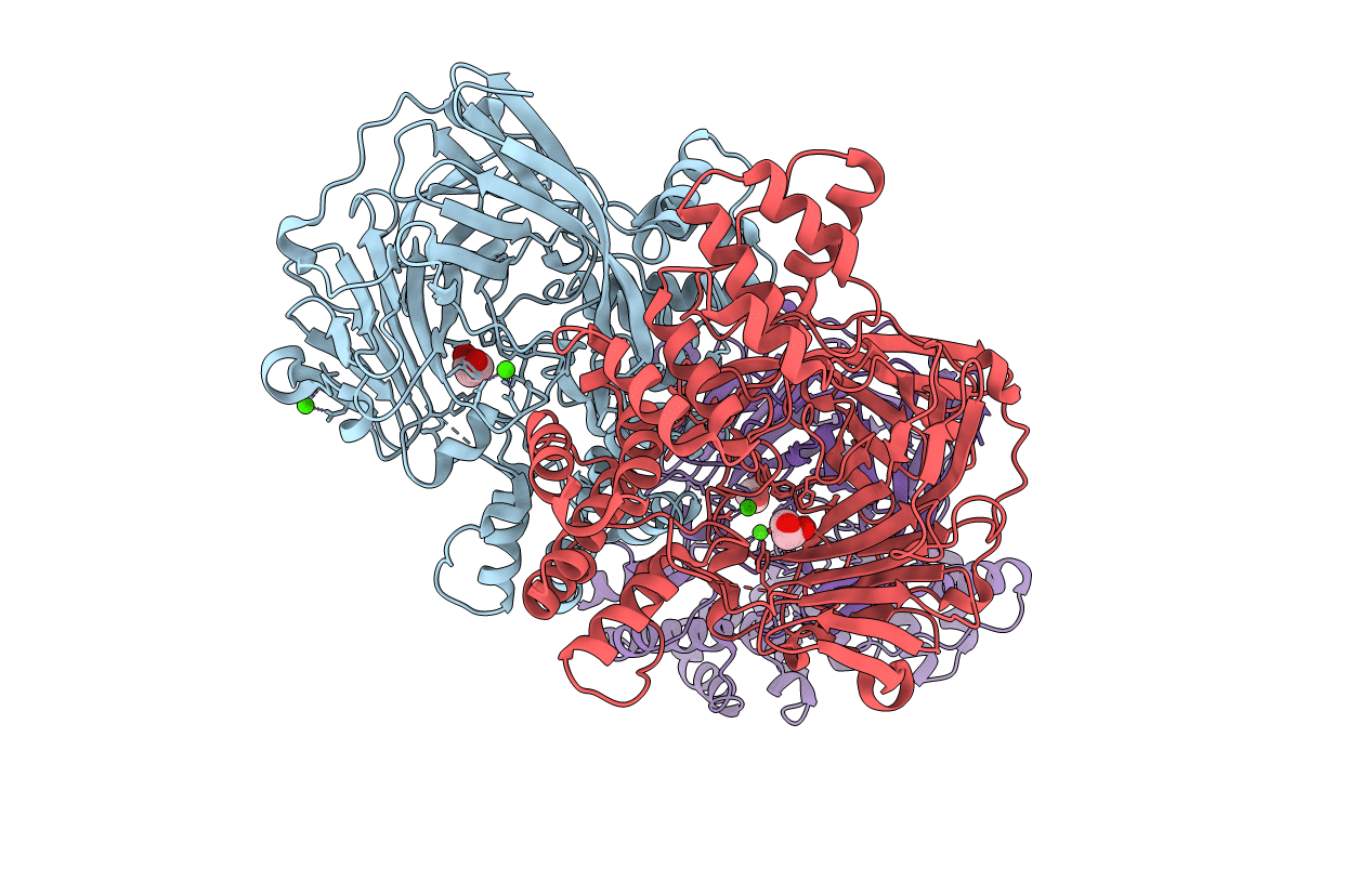 5CD6 image