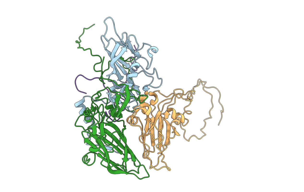 5CDC image
