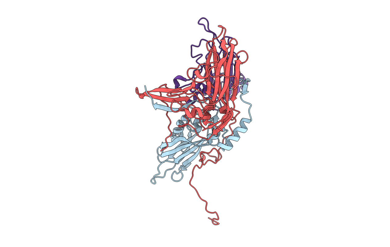 5CDD image
