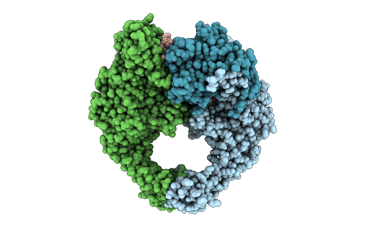 5CDP image