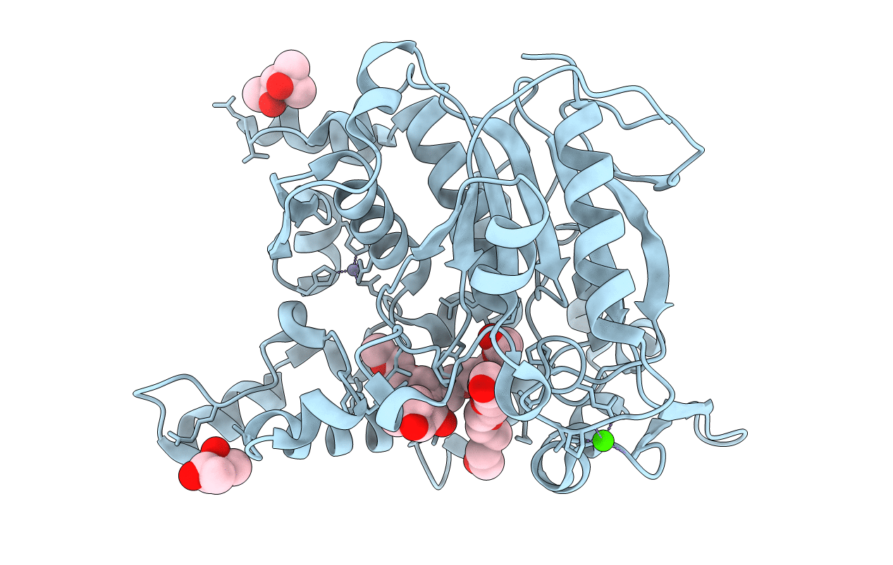 5CE5 image