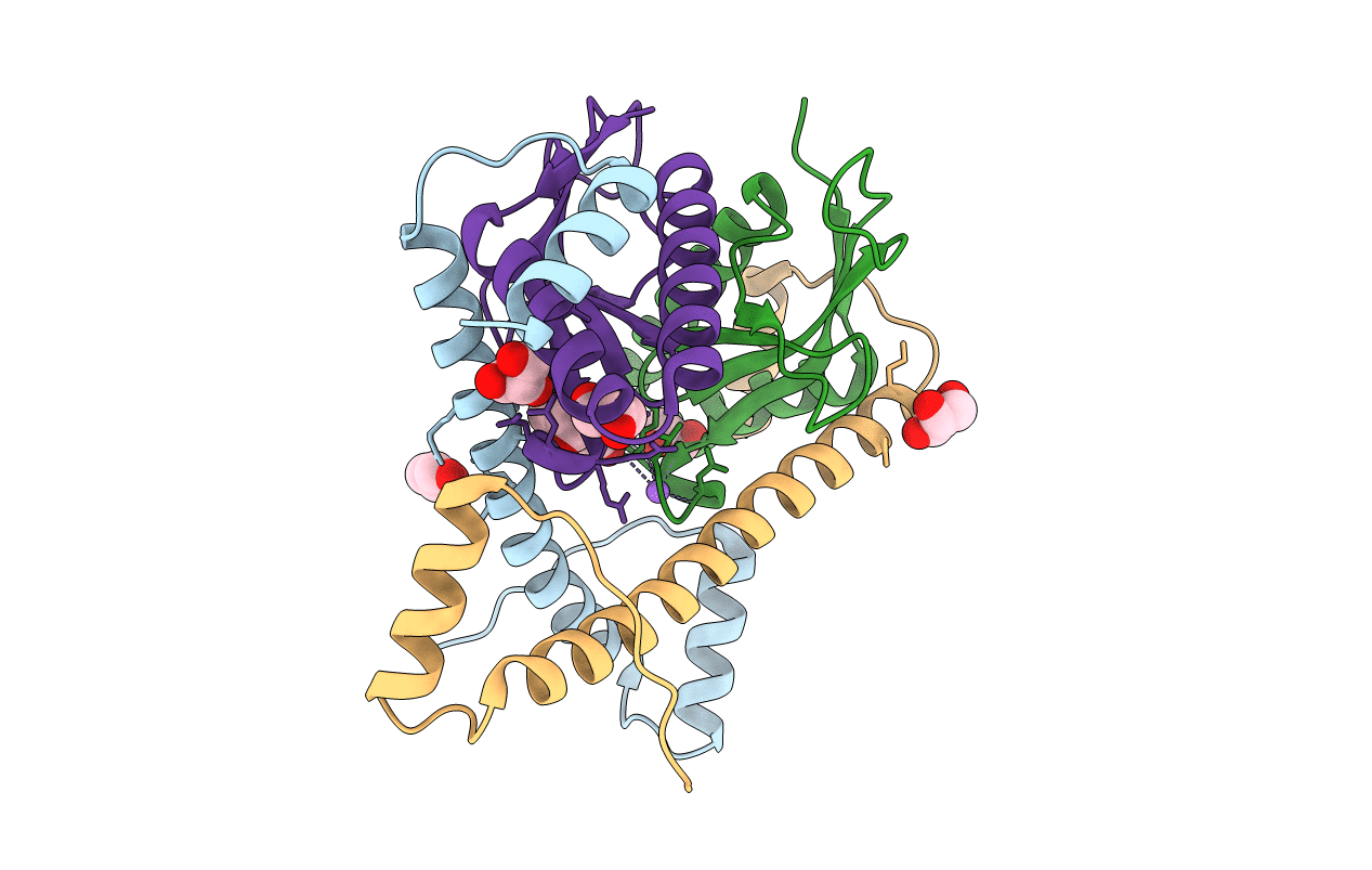 5CEG image