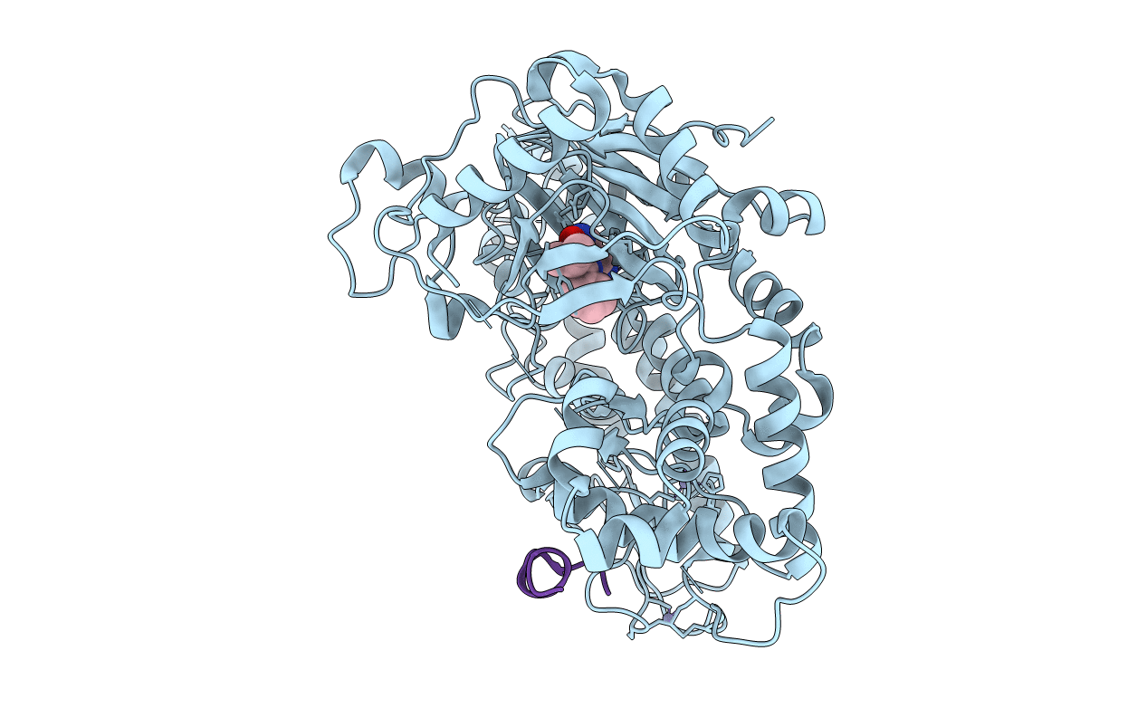 5CEH image