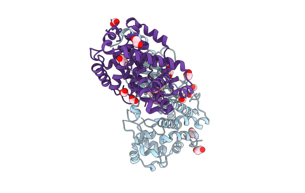 5CEI image