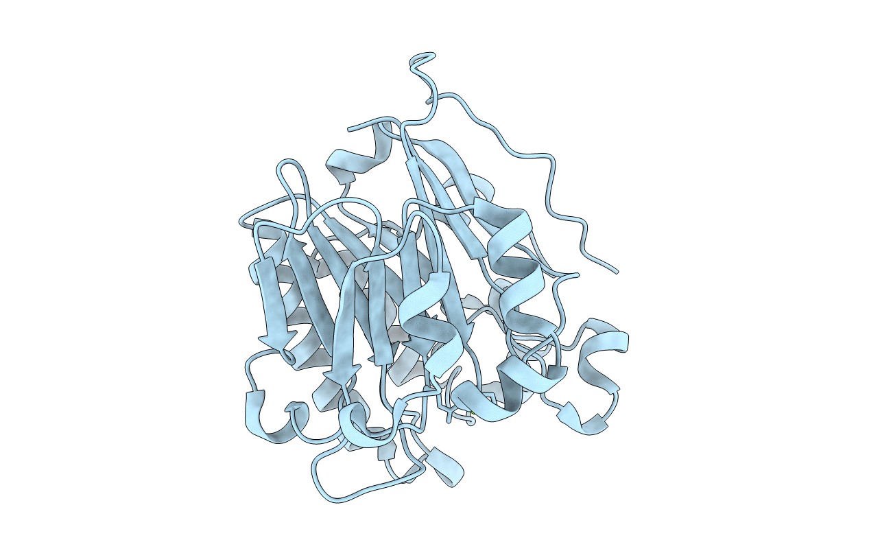 5CFG image