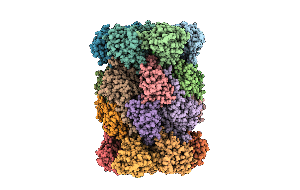 5CGG image