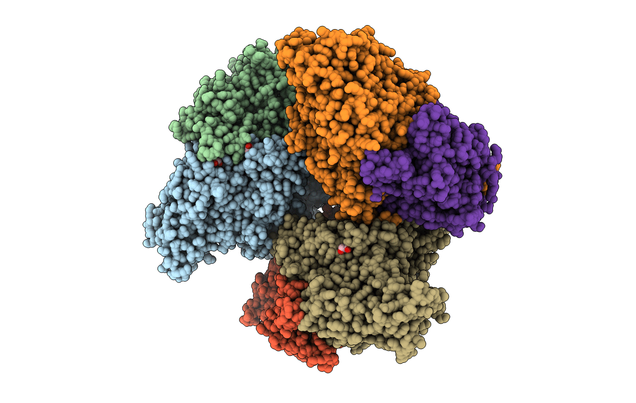 5CHC image