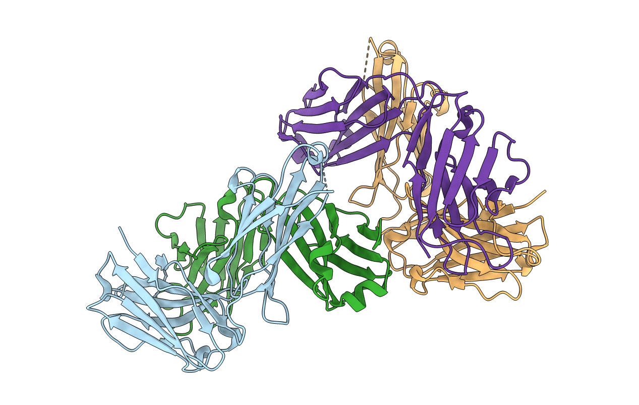5CHN image