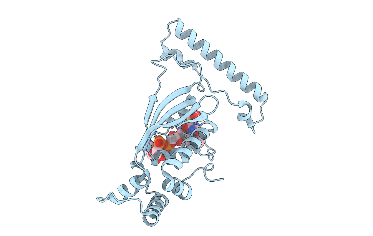5CHP image