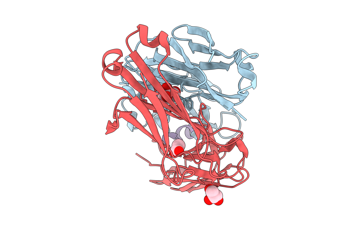 5CIL image