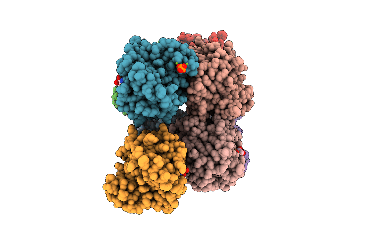 5CJ2 image