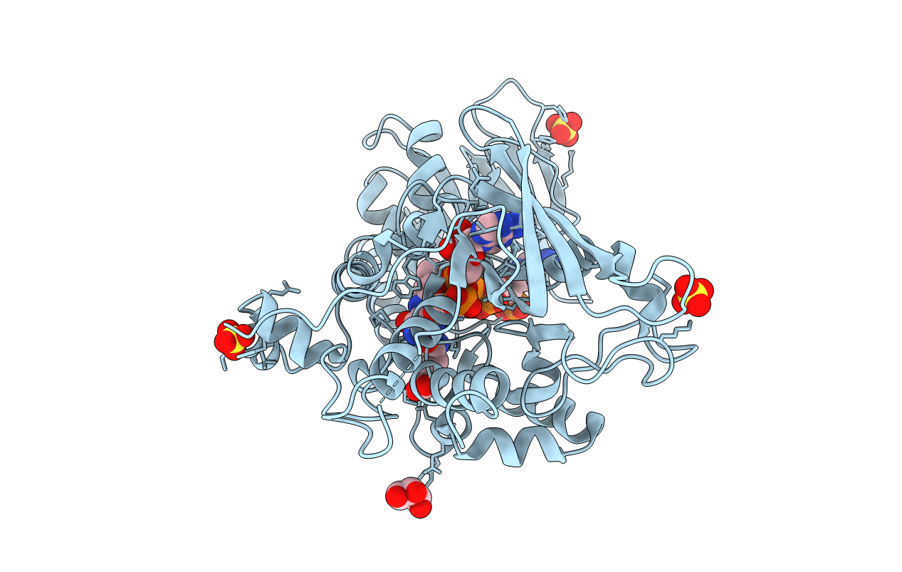 5CKU image