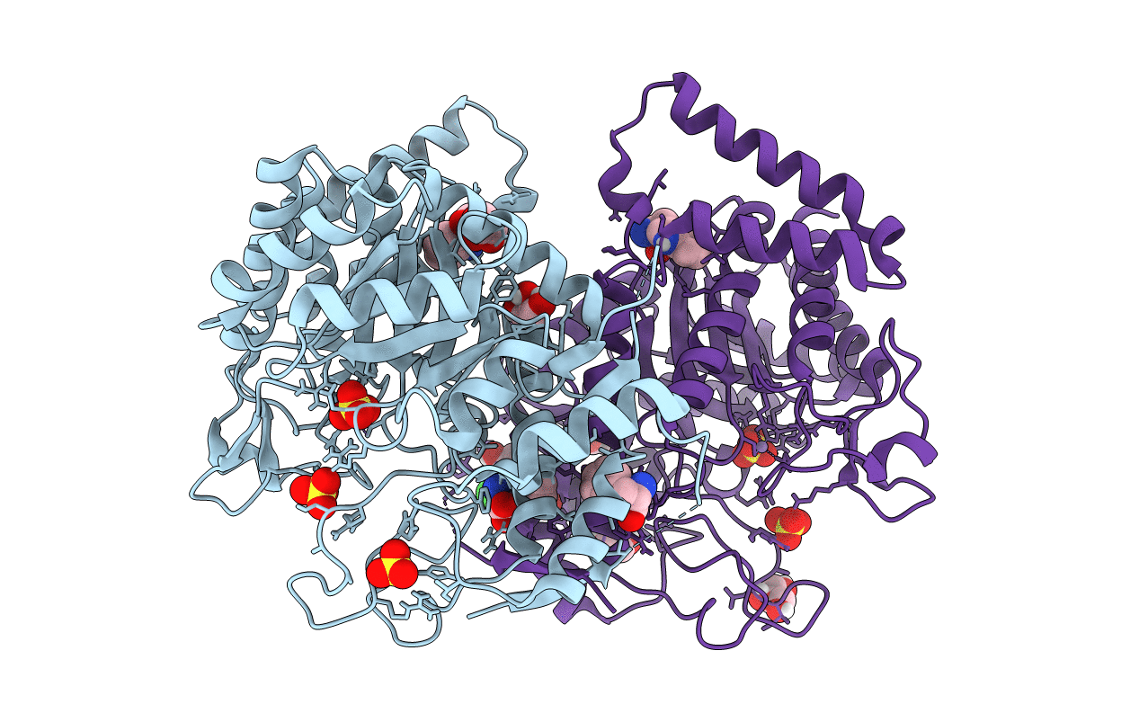 5CKV image