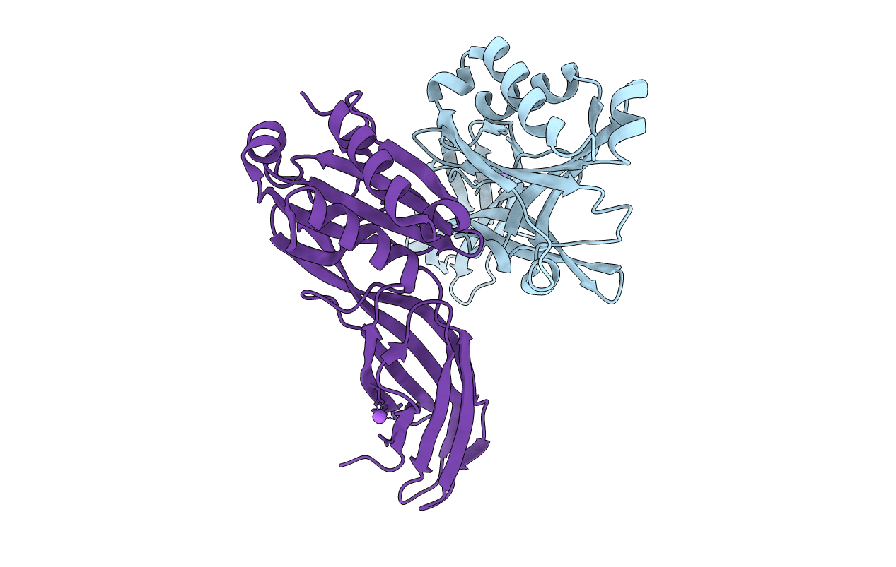 5CL2 image
