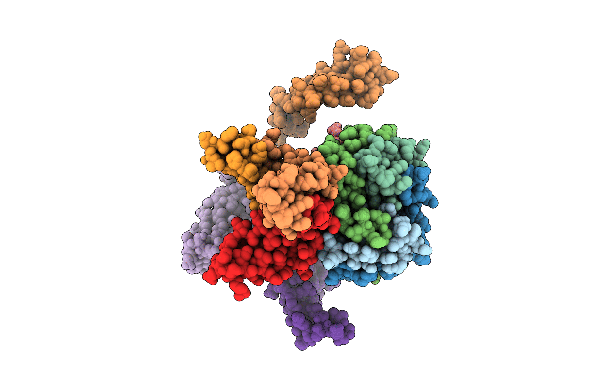 5CLN image