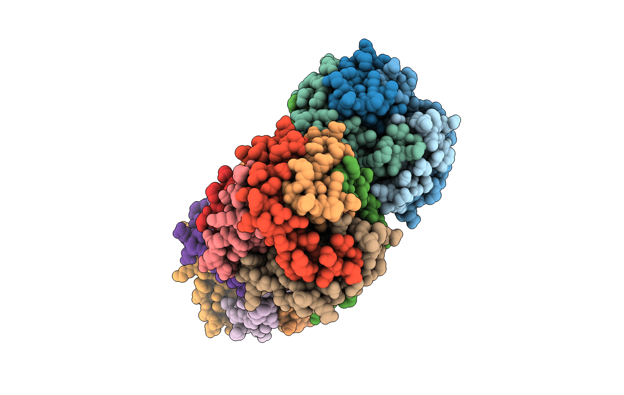 5CLO image