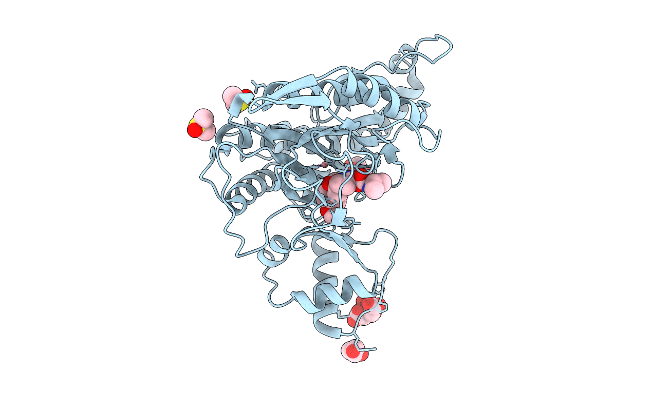 5CLS image