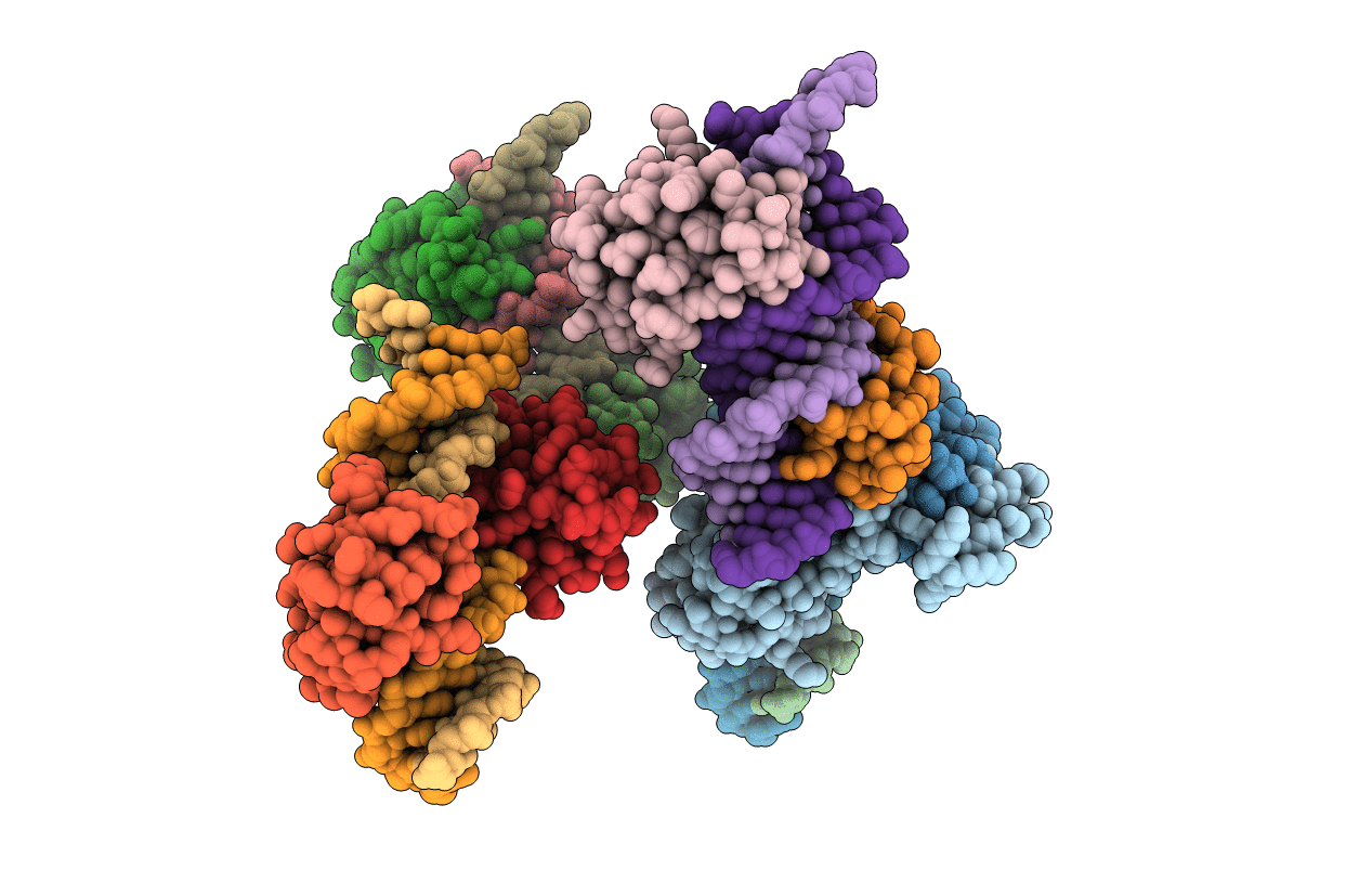 5CLV image