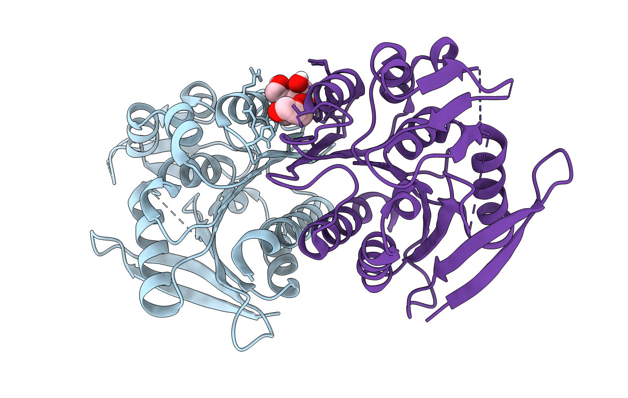 5CML image