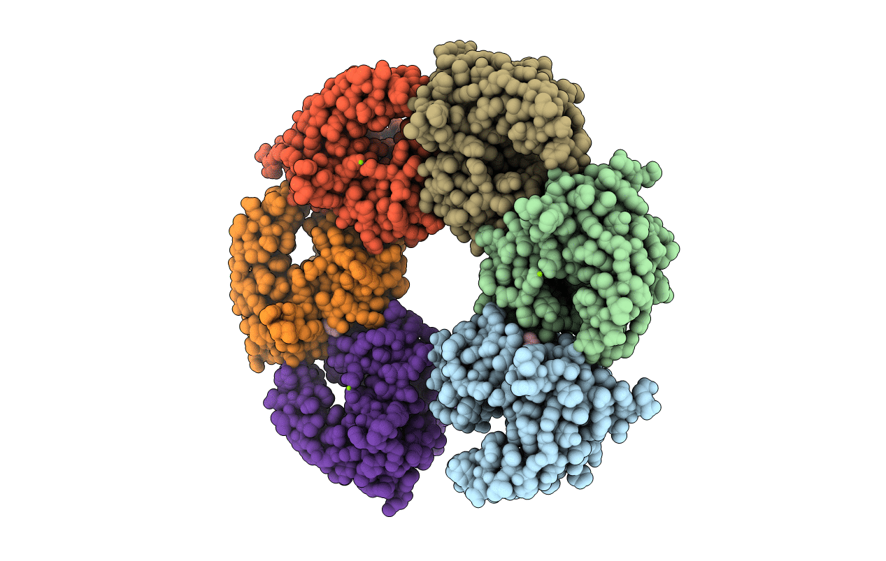 5CNP image