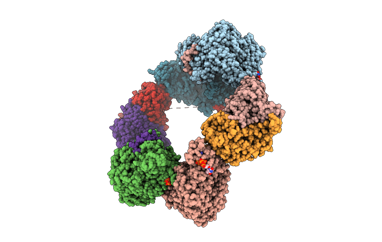 5CNV image