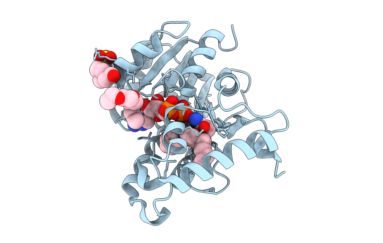 5CP8 image